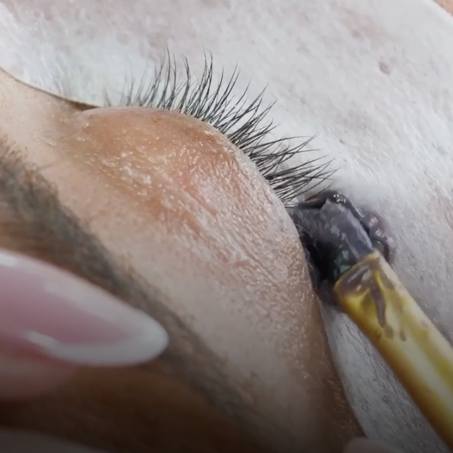 Online Lash & Brow Wax Training Course with Kit