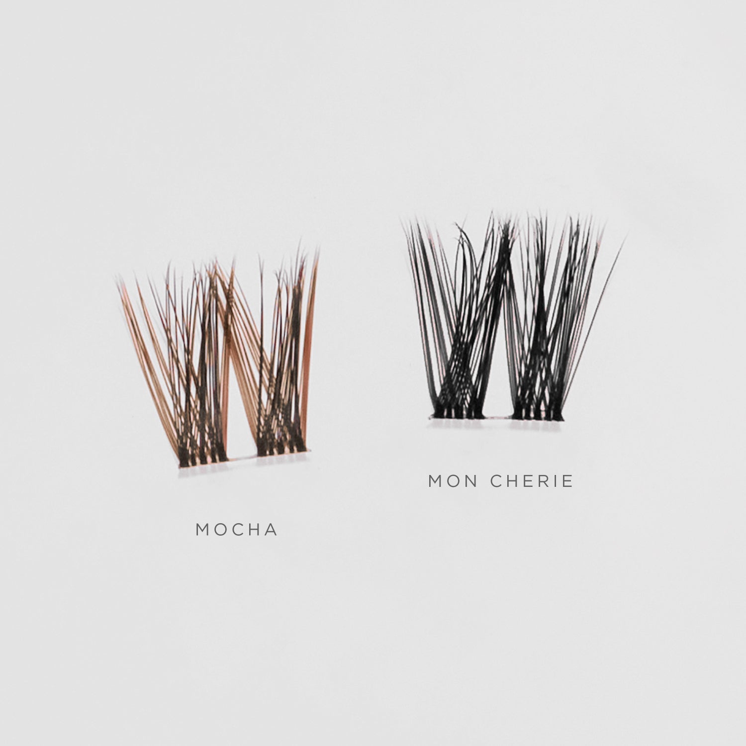 Mon Cherie - Mocha