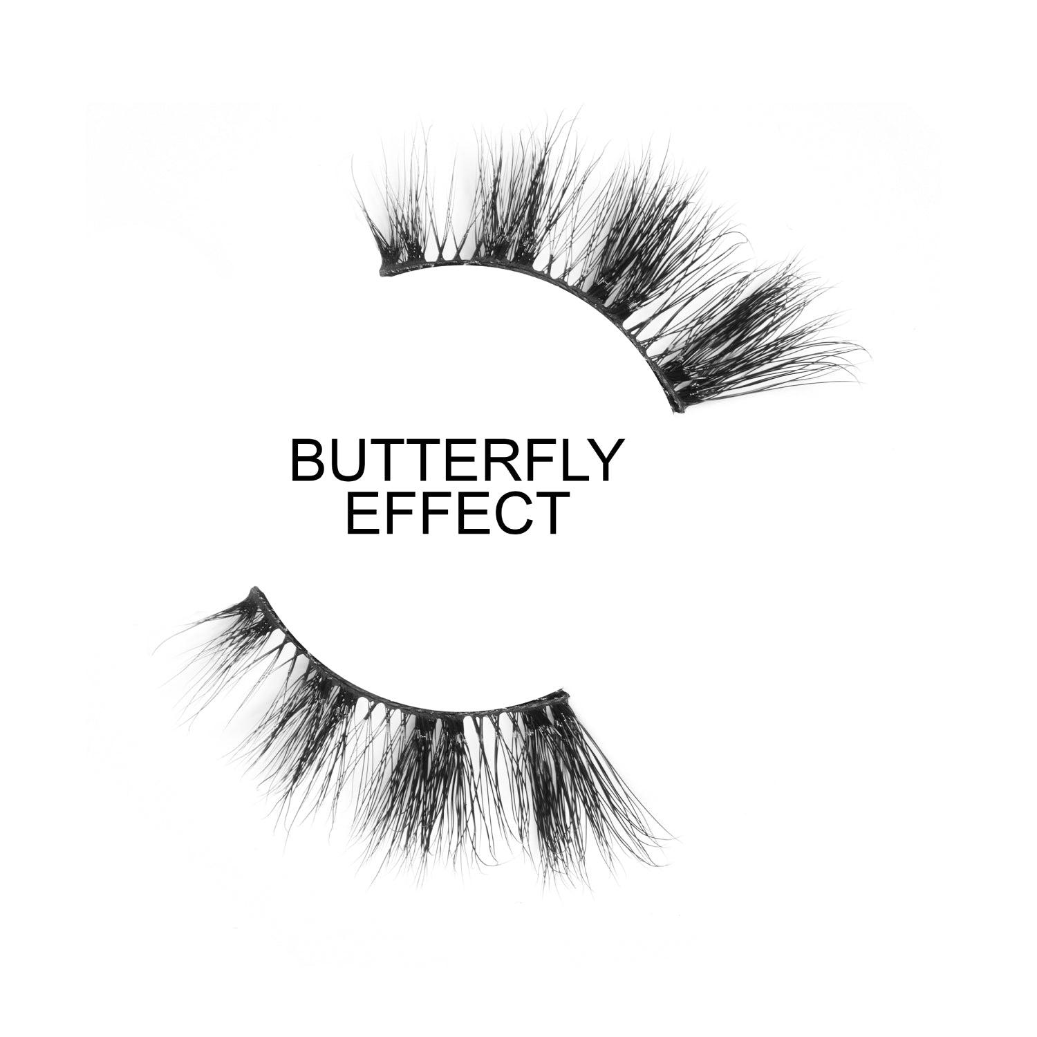 Butterfly Effect